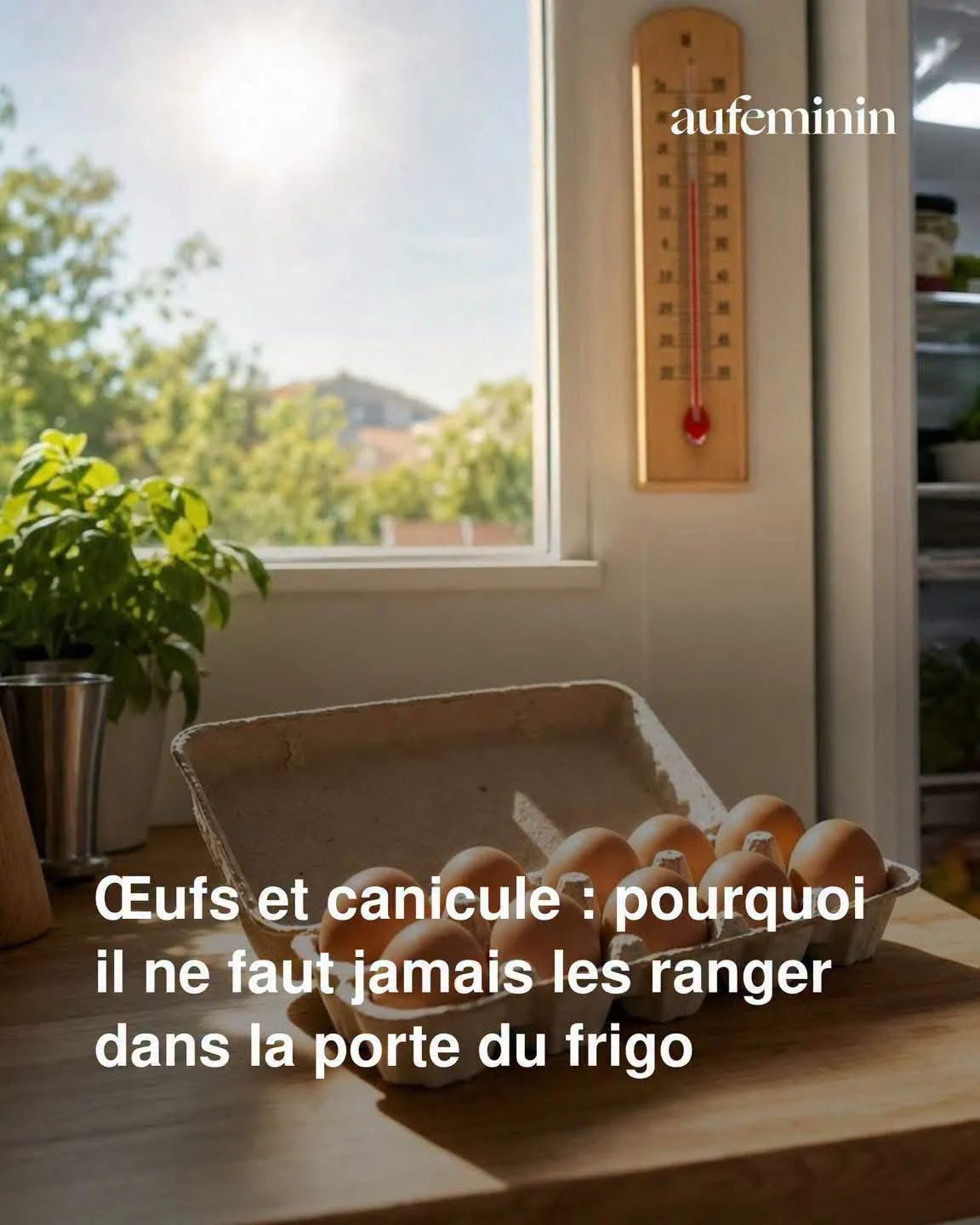 L&rsquo;erreur que tout le monde fait avec ses œufs quand il fait chaud