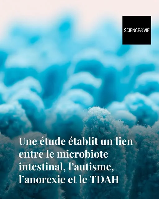Autisme, TDAH, anorexie: une étude trouve un lien dans l&rsquo;intestin