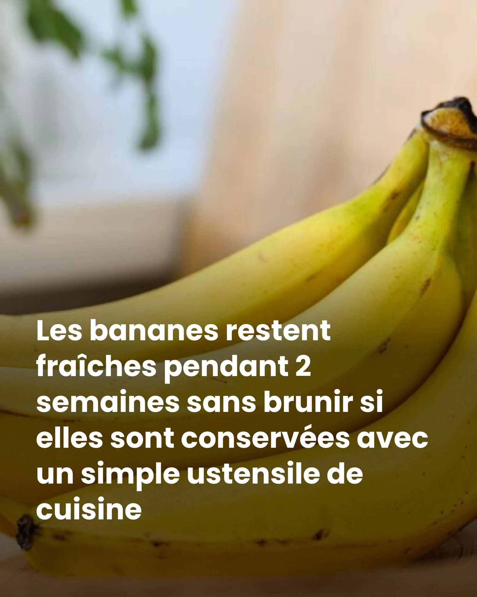 Bananes: 3 gestes gratuits pour les garder fraîches 14 jours de plus