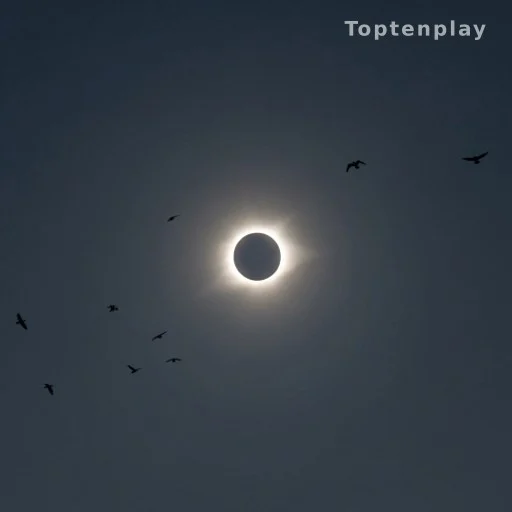 Ciel assombri en plein jour lors d'une éclipse solaire avec oiseaux en vol