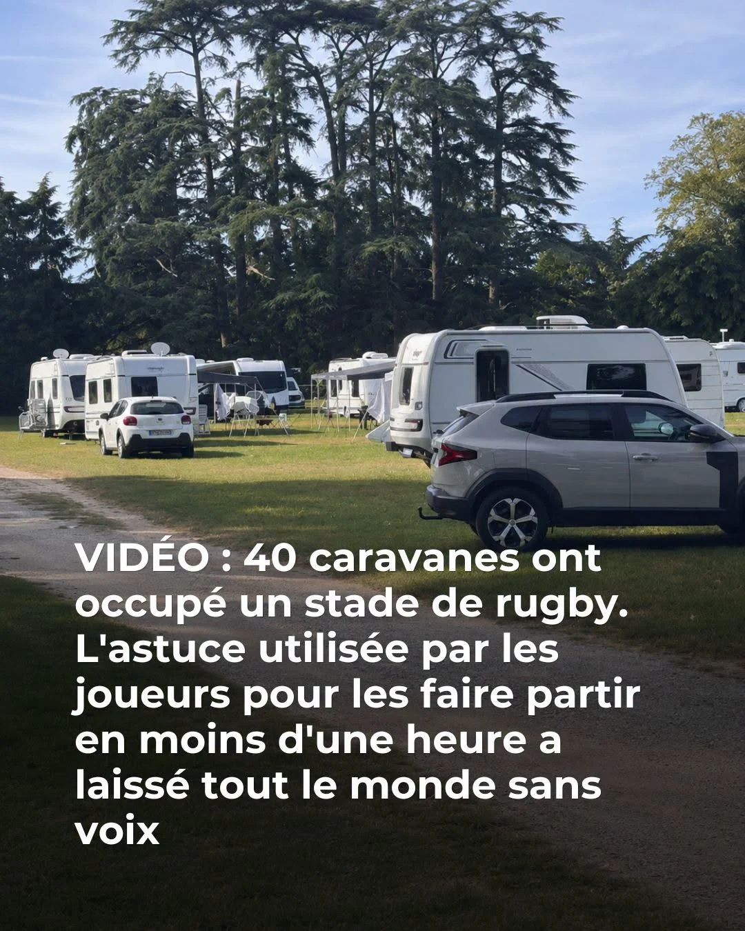 Son terrain occupé par 40 véhicules, il lâche son taureau de 800 kg