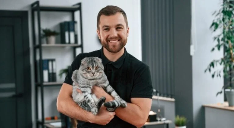 ses-trois-chats-donnes-par-son-epouse-joe-retrouve cover